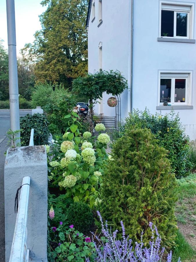 Sascha'S Home Саарлуис Экстерьер фото